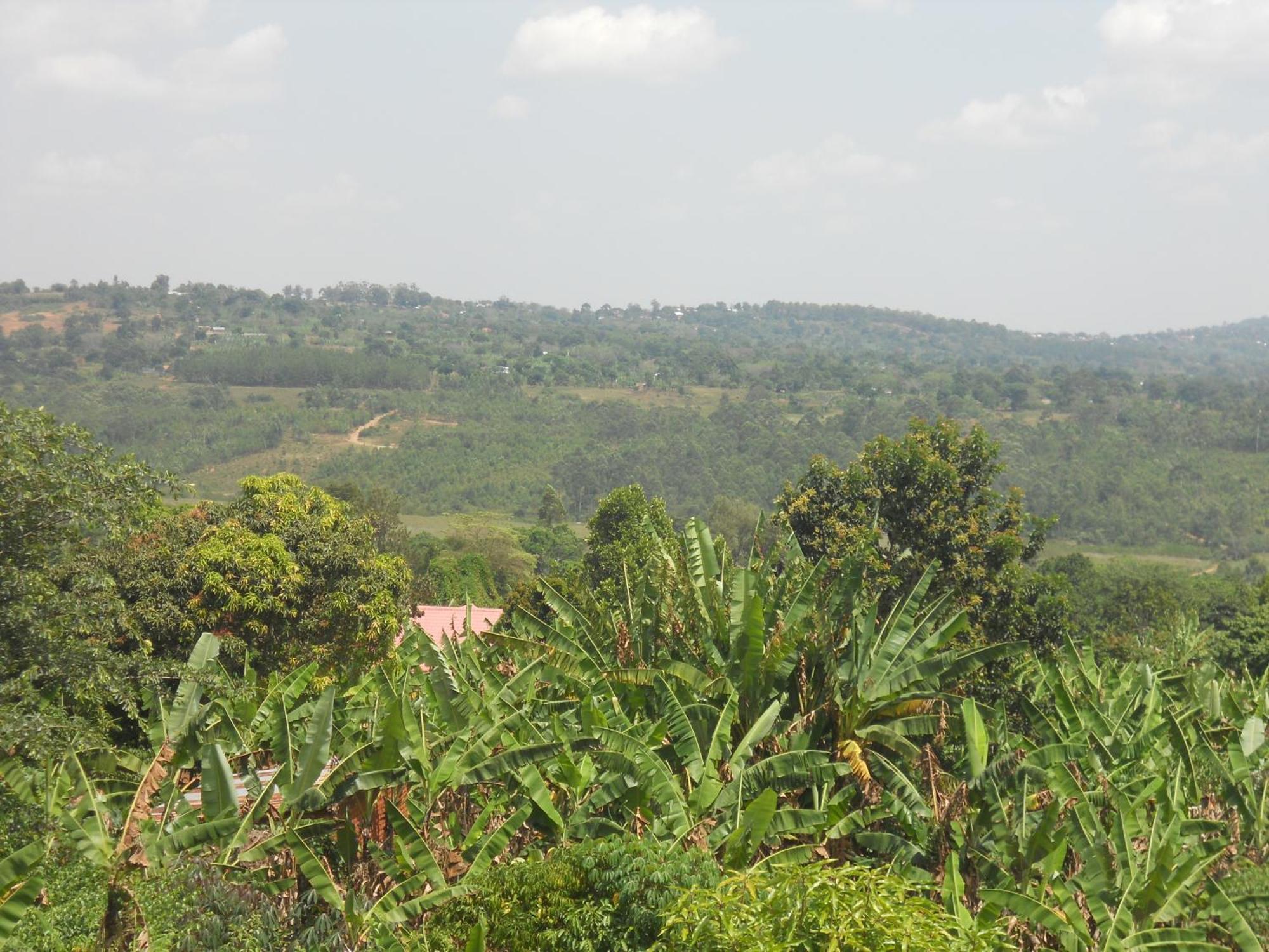 Masaka Backpackers, Tourists Cottage & Campsite Exterior photo