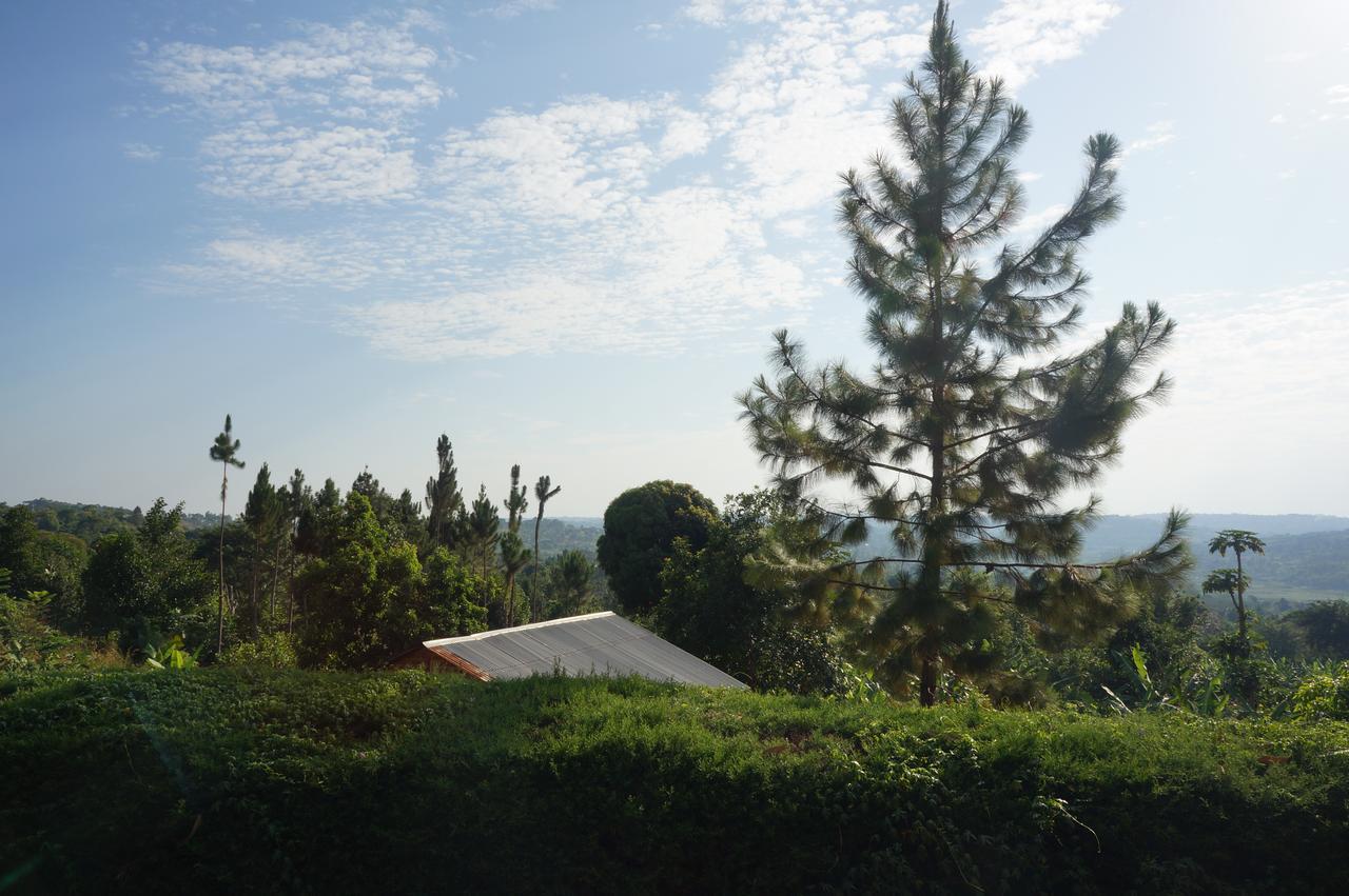 Masaka Backpackers, Tourists Cottage & Campsite Exterior photo